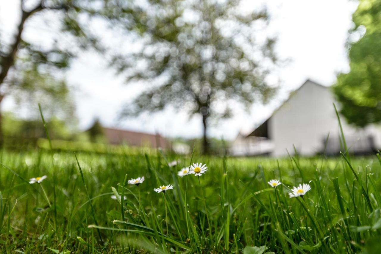 Nengshof Ferienwohnung Wildrose Wißmannsdorf المظهر الخارجي الصورة