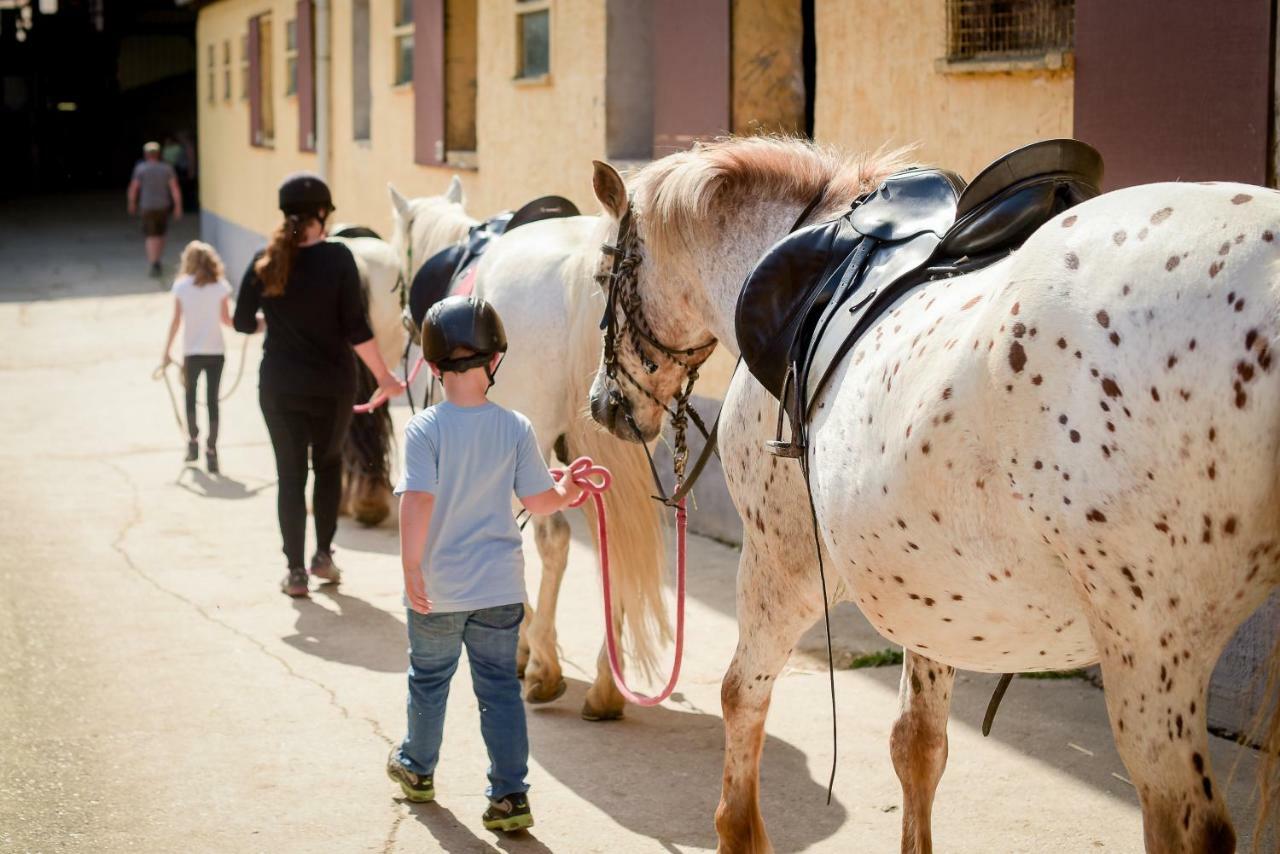 Nengshof Ferienwohnung Wildrose Wißmannsdorf المظهر الخارجي الصورة